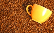 Coffee Beans and Yellow Cup