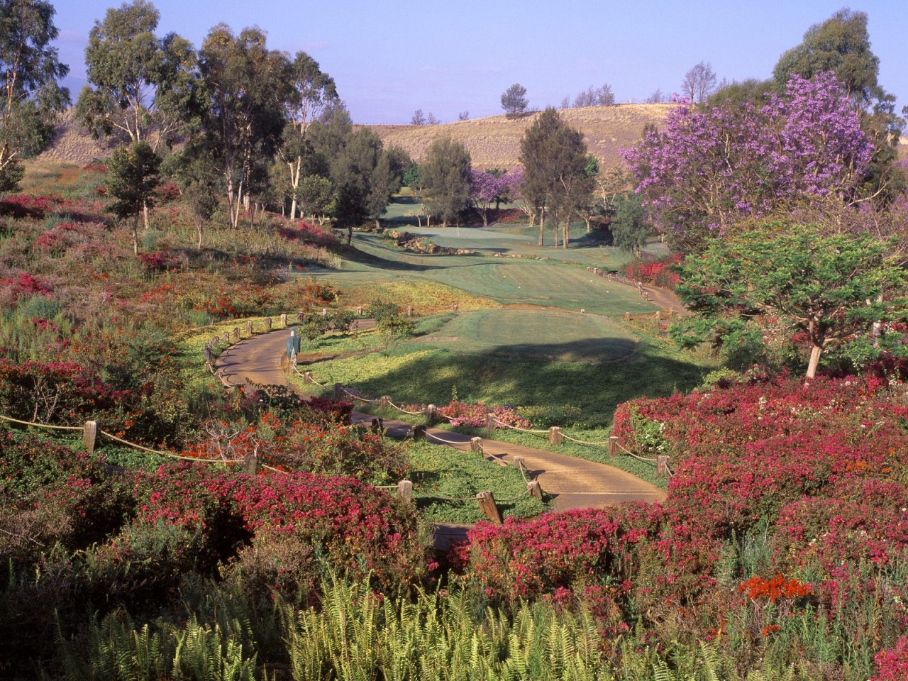 5th Hole, Big Island