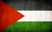 Palestine Grungy Flag