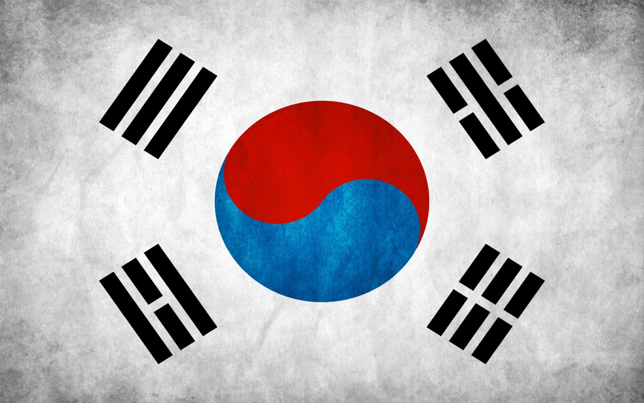 South Korea Grunge Flag