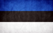 Estonia Grunge Flag