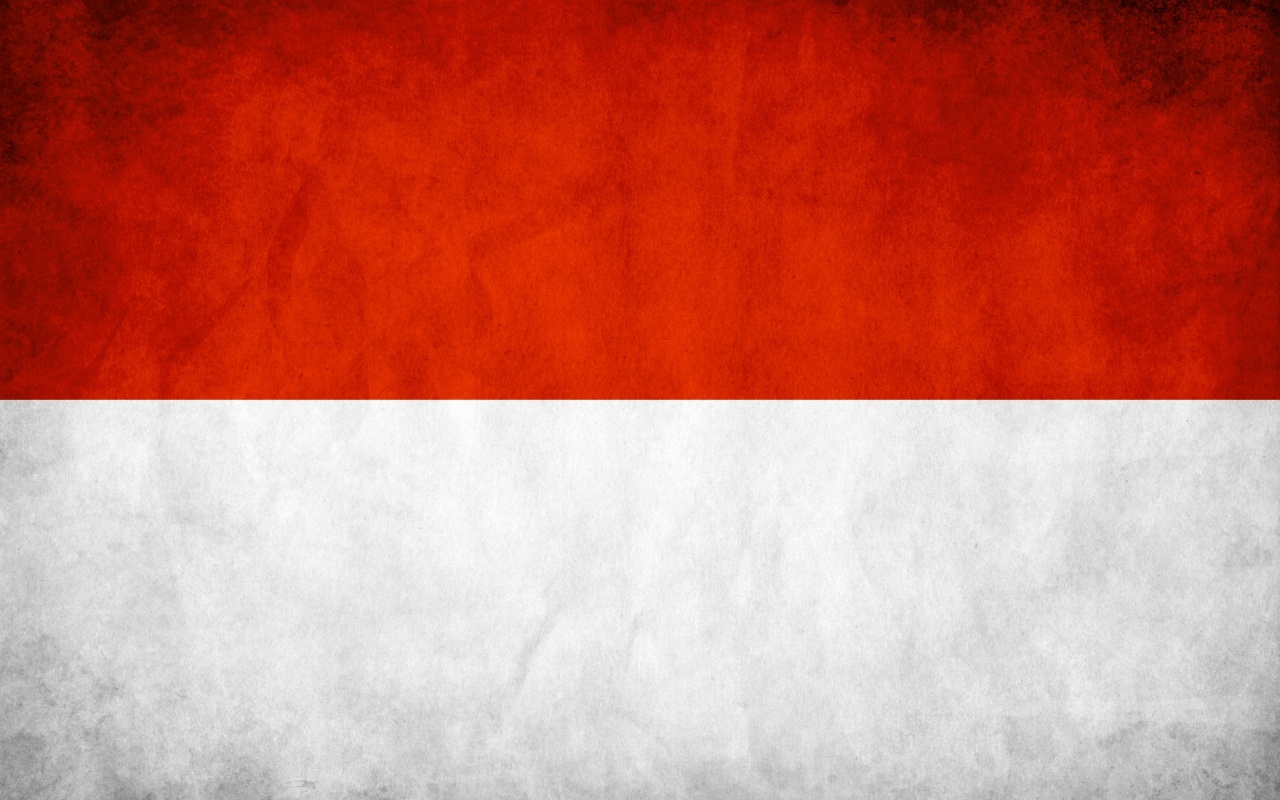 Indonesia Grunge Flag