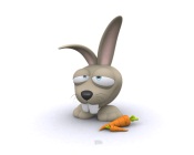 Rabbit With Carrots