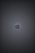 Black Apple Logo