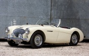 Austin Healey 100 (BN2) 1955-56