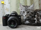 Nikon D40