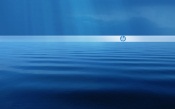 Hewlett Packard - Water Surface