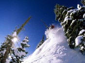 Mountain skiing