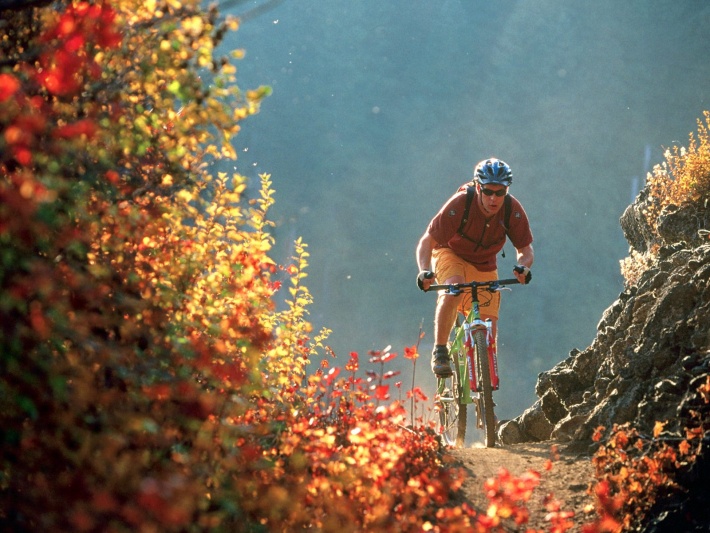 Cycling at Dawn