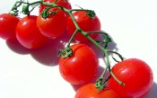 Cherry Tomatoes