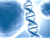 Bionix DNA