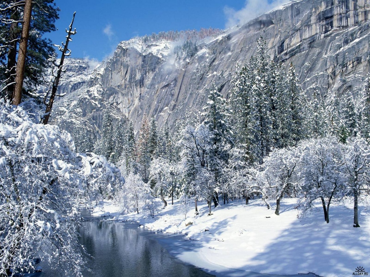 Winter Forest and the Mountain