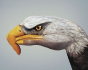 Eagle-Hand