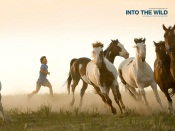 Into The Wild: Run Along With the Herd