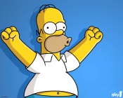The Simpsons: Homer