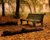 Bench in Park, Autumn