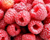 Raspberries