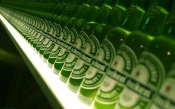 Green House Effect - Heineken