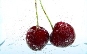 Fruits and Vegetables Series - Cherries