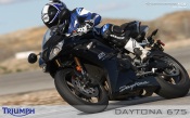 Daytona Triumph 675