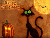 Halloween, Pumpkin, Black Cat and a Bat