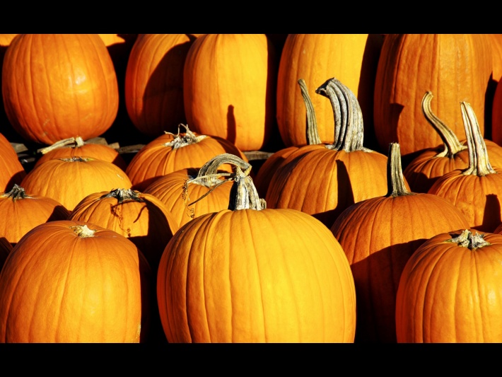 Halloween Pumpkins