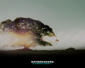 Daybreakers - Sunset