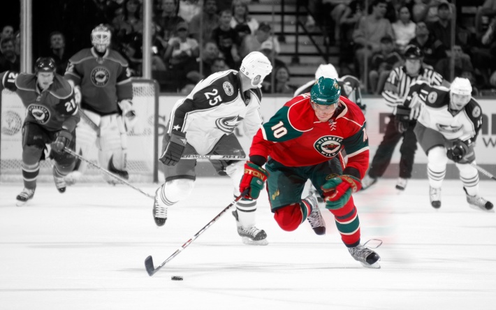 Minnesota Wild