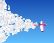 Pink Plane in The Sky