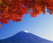 Fuji Mountain in Autumn