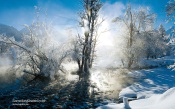 Winter in Switzerland