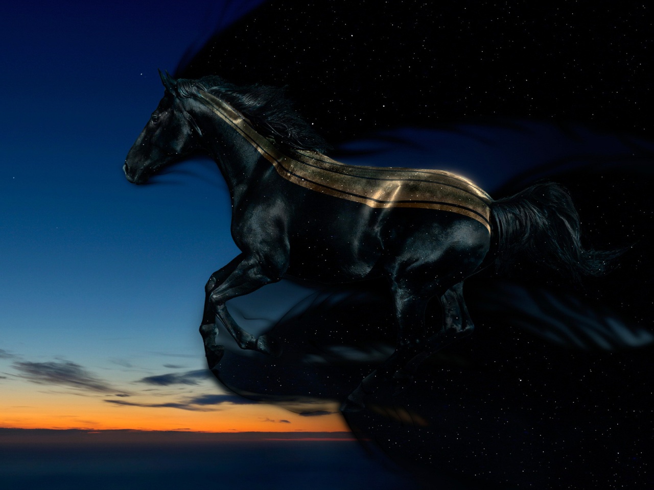 Night Horse