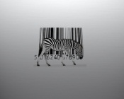 Zebra Code