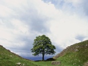 Hadrian's Wall, Northumberland, England