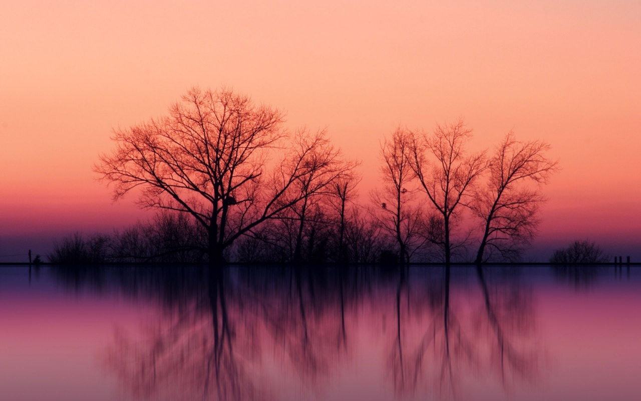 Pink Dusk