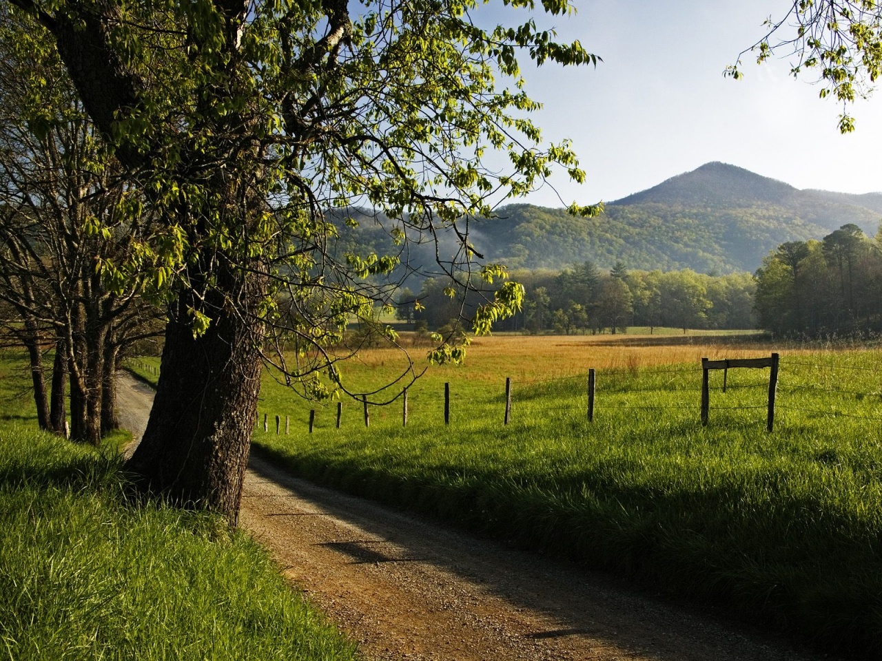 Spring Countryside