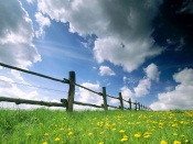 Countryside Landscape