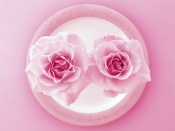 Two Pink Roses on the Plate