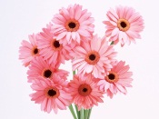 Pink Flowers Bouquet
