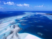 Coral Reef, Torres Strait Islands, Australia australia