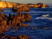 Rugged Coastline at Boozy Gully, Canunda National Park, Australia