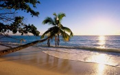 Beach on Silhouette Island, Seychelles