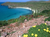 La Paz Region, Baja California, Mexico