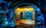 Shark Reef Aquarium, Mandalay Bay, Los Angeles, USA
