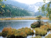 Small Arber Lake, Bavarian Forest, Germany