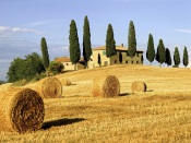Beautiful Tuscany, Italy