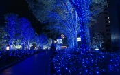 Christmas in Tokyo