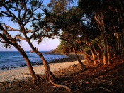 Tea Tree Beach, Noosa National Park, Queensland, Australia