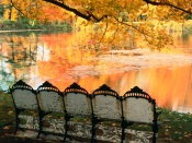 Best Seat in the House, Louisville, Kentucky