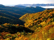 Deep Creek Valley, Great Smoky Mountains Nationa